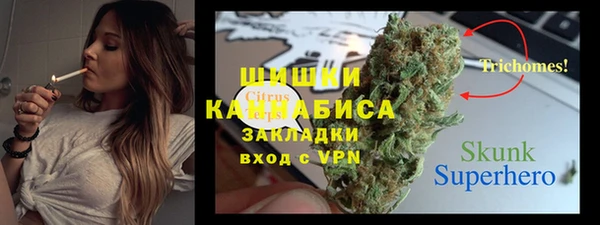 тгк Абаза