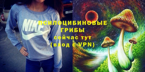 тгк Абаза