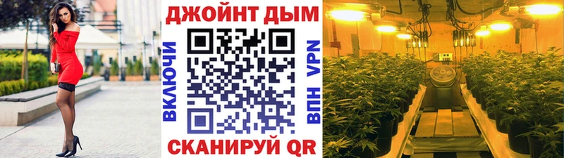 shop как зайти  цена наркотик  Астрахань  Марихуана Amnesia 